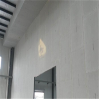 思茅宁波ALC板|EPS加气板隔墙与混凝土整浇联接的实验研讨